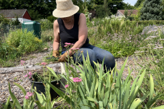 IMG_1499._Susanne_GartenarbeitJPG