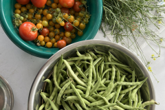IMG_2031_Ernte_BohnenTomaten